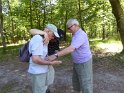 2017-06-01 15-08-41 Rando Fontainebleau CGn